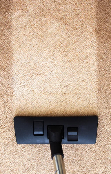 Kiest Rug Care Dallas TX
