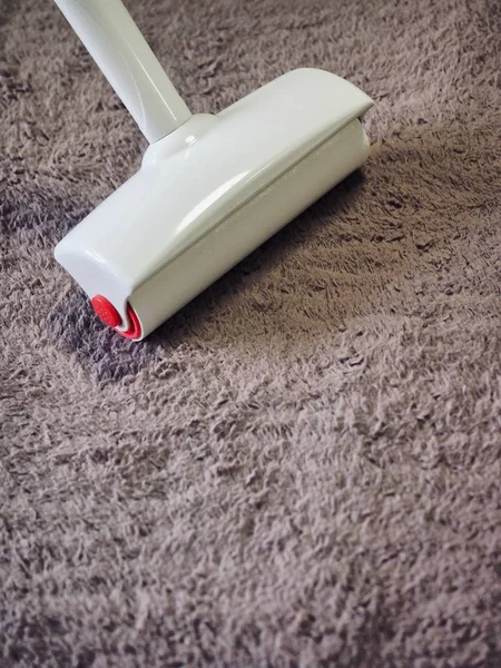 Stain & Fiber Protection