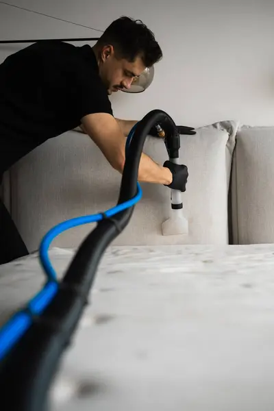 Pet Odor & Stain Removal